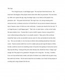 The Cage Essay