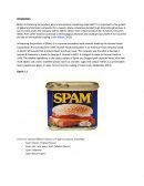 International Marketing on Spam