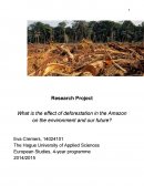 What Is the Effect of Deforestation in the Amazon on the Environment and Our Future?