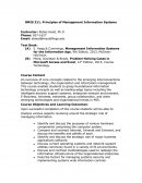 Bmis 311 - Principles of Management Information Systems