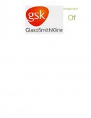 Glaxosmithkline (gsk) Operations Management